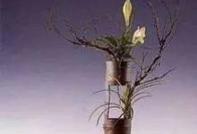 东方式插花的风格特点-寻路网