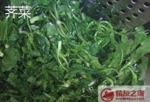独行菜和荠菜的区别-寻路网